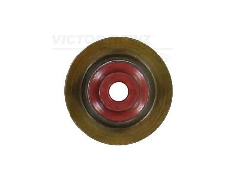 Valve stem gasket