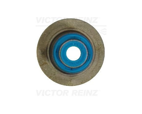 Valve stem gasket