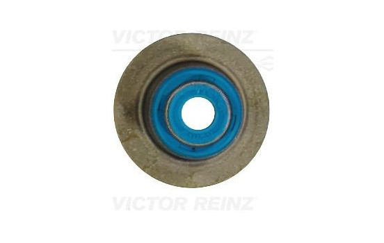 Valve stem gasket