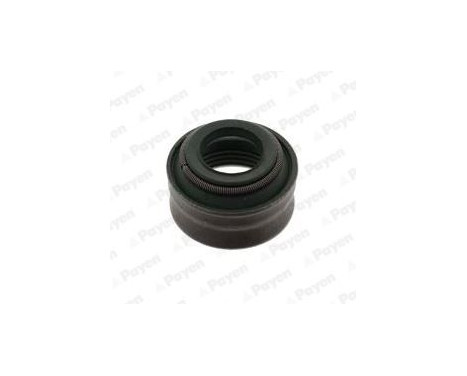 Valve stem gasket