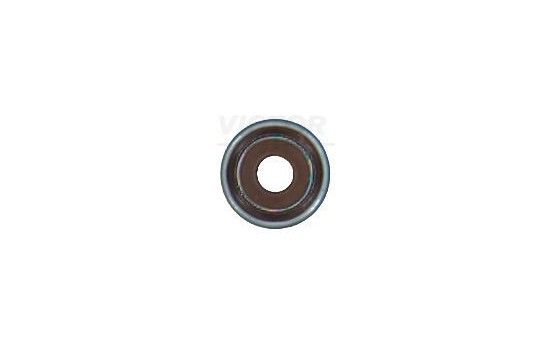 Valve stem packing