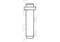 Valve guide