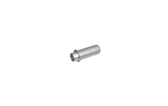 Valve Guides