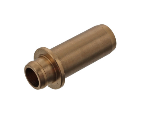 Valve Guides