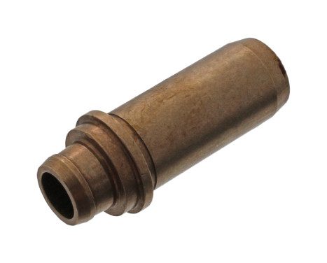 Valve Guides