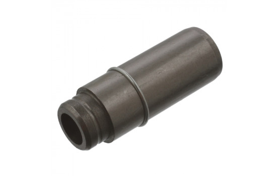 Valve Guides