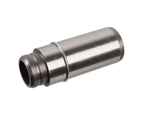 Valve Guides