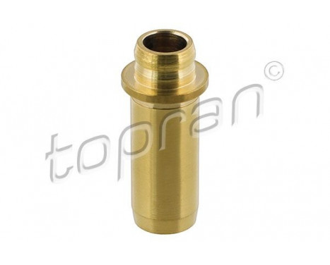 Valve Guides