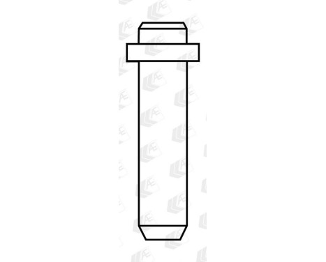 Valve Guides