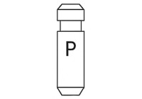 Valve Guides