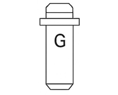 Valve Guides