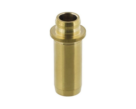 Valve Guides