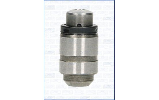 Valve lifter