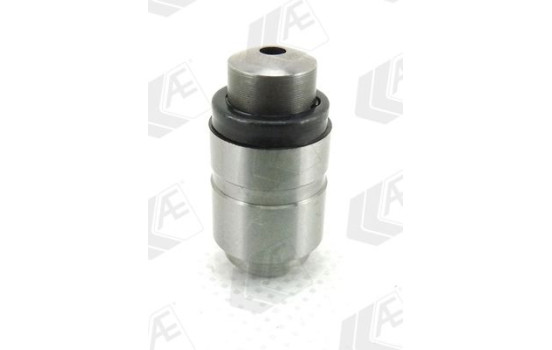 Valve lifter