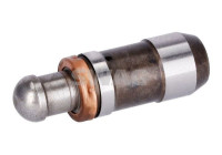Valve lifter