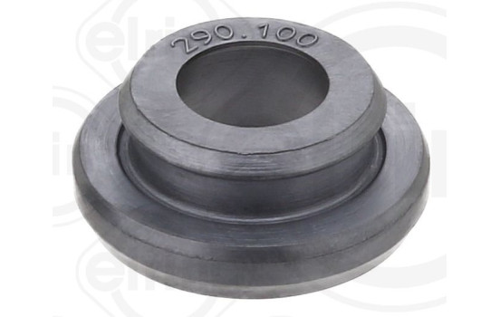 Seal Ring, cylinder head cover bolt