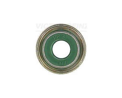 Seal Ring, valve stem
