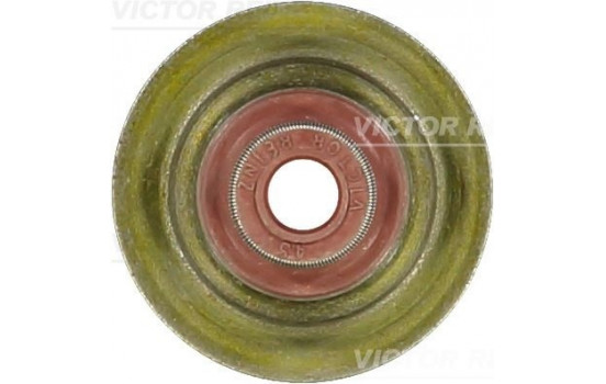 Seal Ring, valve stem