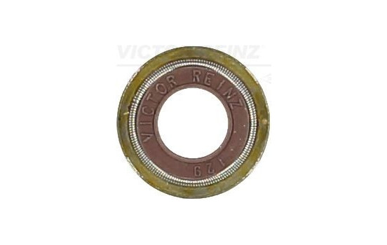 Seal Ring, valve stem