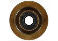 Seal Ring, valve stem