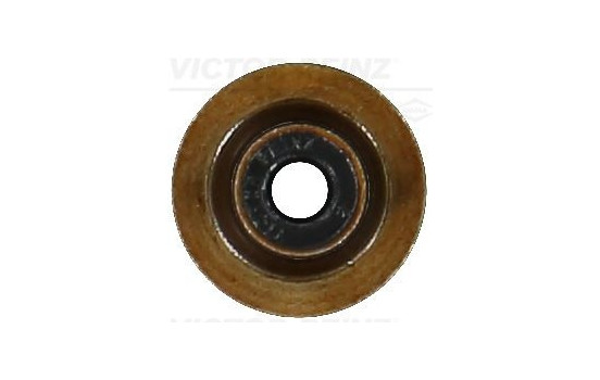 Seal Ring, valve stem