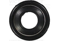 Seal Ring, valve stem