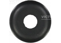 Seal Ring, valve stem