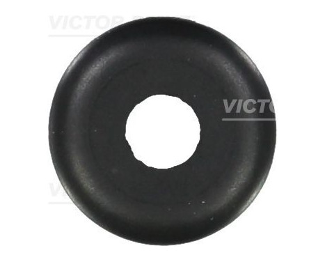 Seal Ring, valve stem
