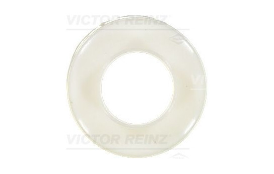 Seal Ring, valve stem