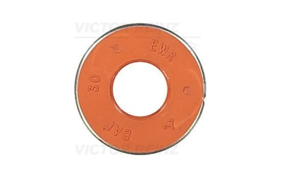 Seal Ring, valve stem