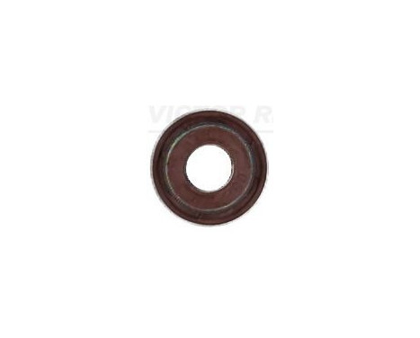 Seal Ring, valve stem