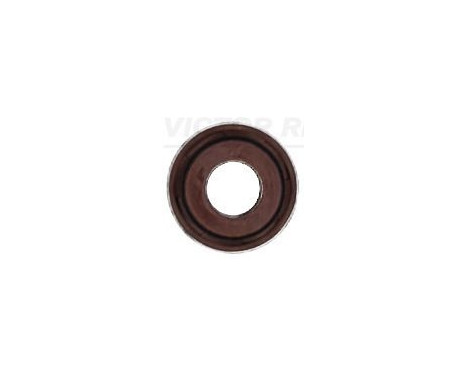 Seal Ring, valve stem