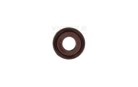 Seal Ring, valve stem