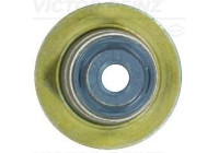 Seal Ring, valve stem