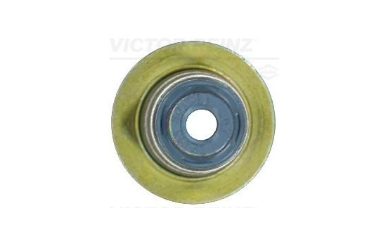 Seal Ring, valve stem