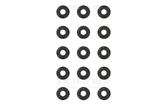 Seal Set, valve stem