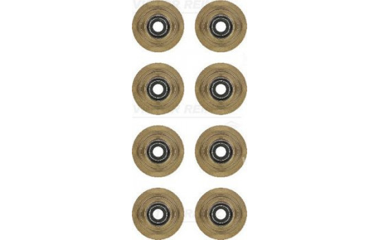 Seal Set, valve stem