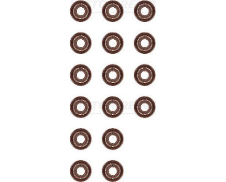 Seal Set, valve stem