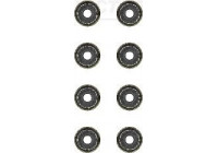 Seal Set, valve stem