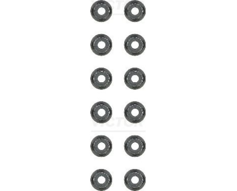 Seal Set, valve stem