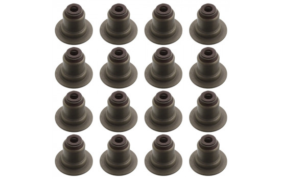 Seal Set, valve stem