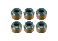 Seal Set, valve stem