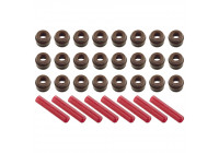 Seal Set, valve stem