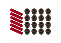 Seal Set, valve stem