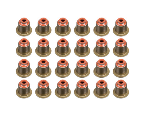Seal Set, valve stem