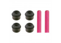 Seal Set, valve stem