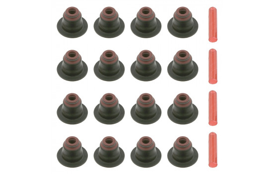 Seal Set, valve stem