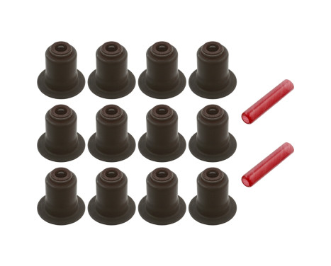 Seal Set, valve stem
