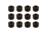 Seal Set, valve stem