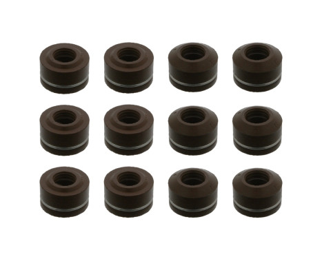 Seal Set, valve stem